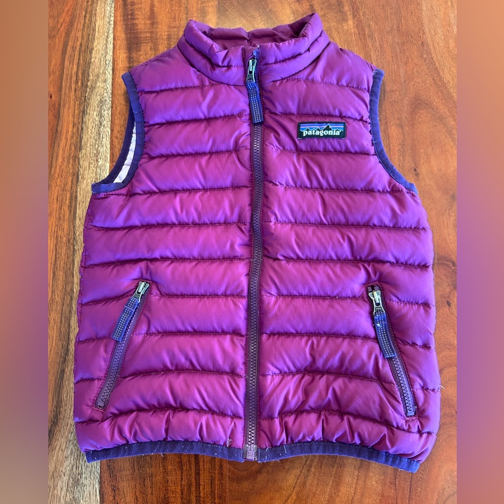 Patagonia Toddler Down Sweater Vest